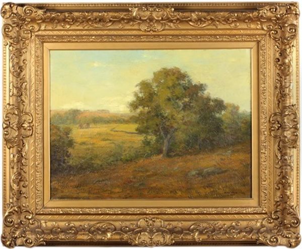 Landscape - view 1