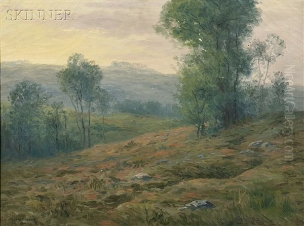 Summer Landscape With Meadow And Trees - view 1