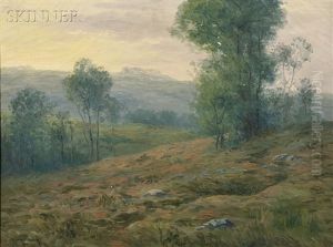 Summer Landscape With Meadow And Trees Summer Landscape With Meadow And Trees