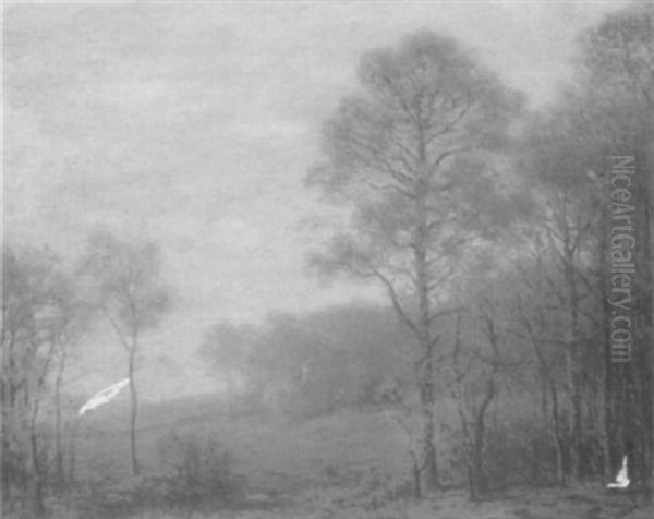Maryland Woodland Clearing, Autumn - view 1