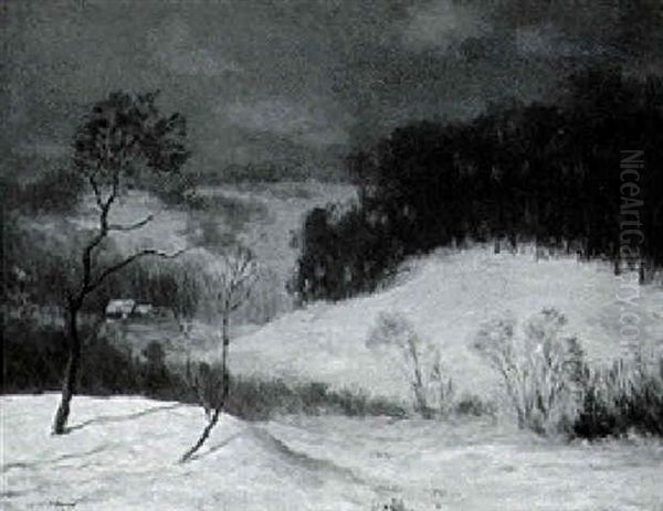 Nocturn Winter Landscape - view 1