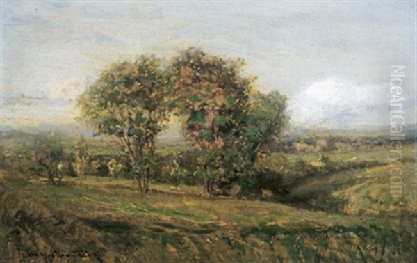 Landscape Nr. Chateauguay - view 1