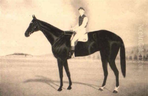 Auraria, Winner Of The 1895 Melbourne Cup - view 1