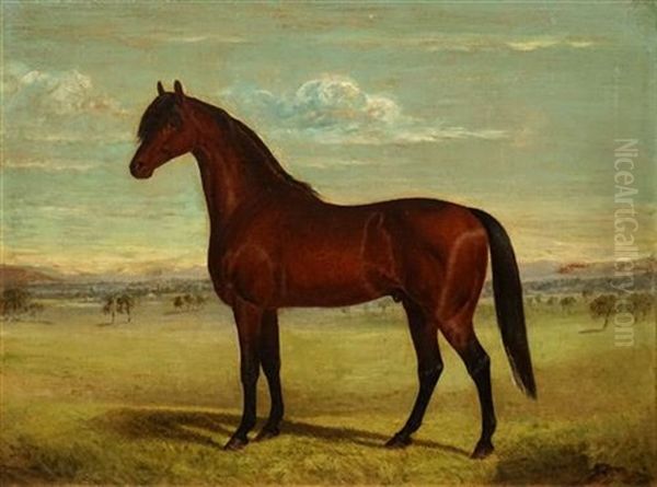Untitled (horse) - view 1