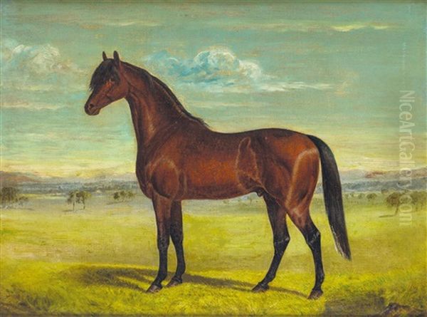 Equine Study - view 1