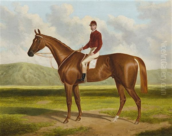 Falcon: Winner Of The 1864 Adelaide Cup - view 1