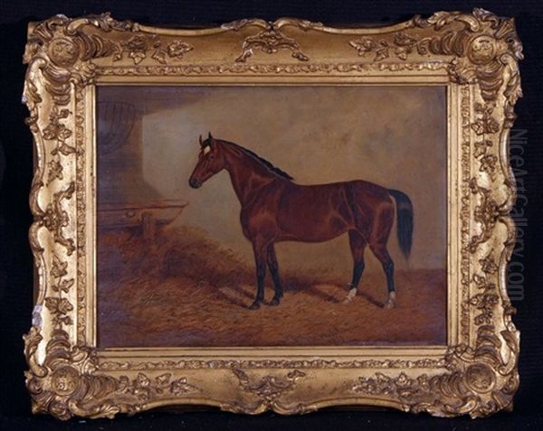 Brown Horse In Stable - view 1