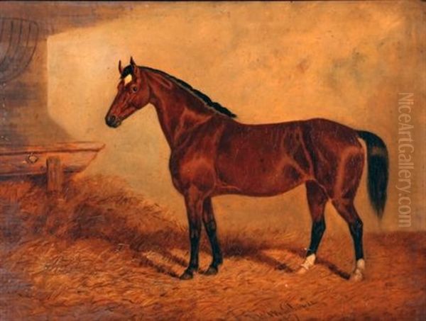 Brown Horse In Stable - view 1