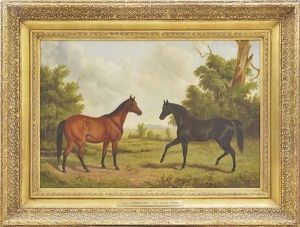 Stallion Gondolier Mare Alice Drew