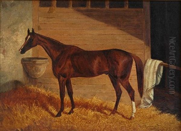 Portrait Of A Horse - view 1