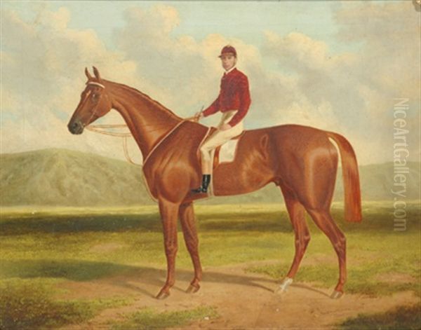 Falcon: Winner Of The Adelaide Cup - view 1