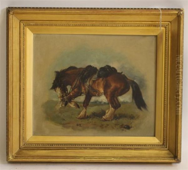 Portrait Of A Horse - view 1
