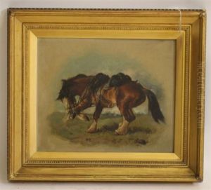 Portrait Of A Horse Portrait Of A Horse