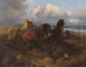 Ponies Grazing Beside A Sunlit Estuary