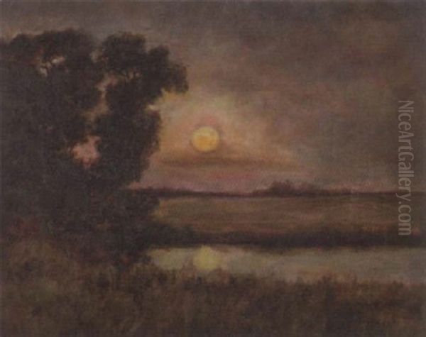 Sunset In Bayou Landscape - view 1