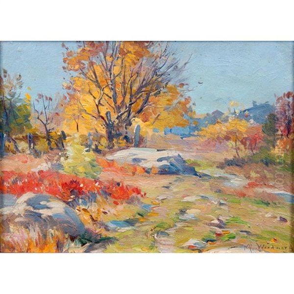 Wooded Landscape - view 1
