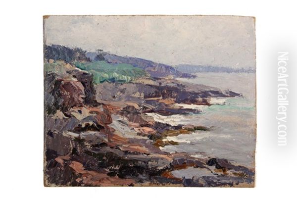 Rocky Coastline - view 1