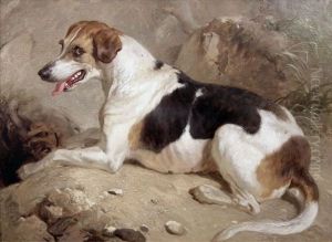 Foxhound At An Earth - Portrait Of A Black And Tan Hound Seated On A Rocky Outcrop by Thomas Woodward
