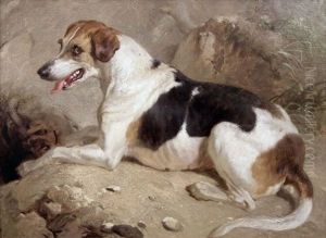 Foxhound At An Earth