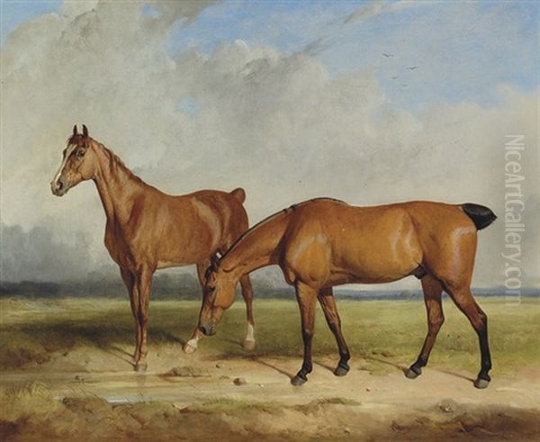 "old Brush" And A Chestnut Mare, In A Field - view 1