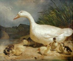 Study Of A White Duck, With Her Brood Of Ducklings Playing On A Bank