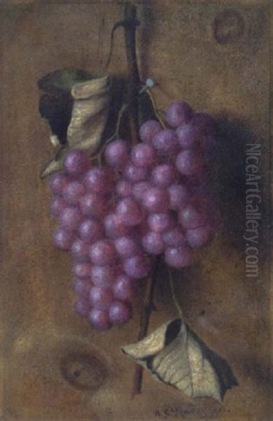 Hanging Grapes - view 1