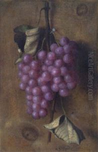 Hanging Grapes Hanging Grapes