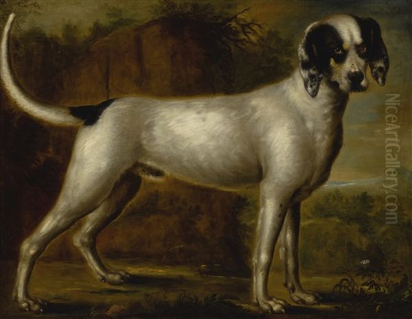Portrait Of A Hound, Possibly A Talbot, Standing In A Landscape - view 1