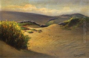 Sand Dunes And Wildflowers by Willard E. Worden