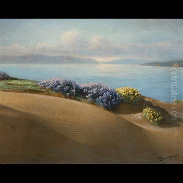San Francisco Coastal Scene - view 1