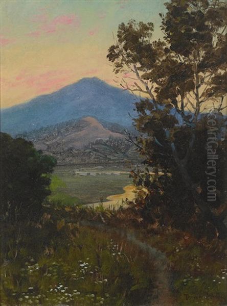 Mt. Tamalpais - view 1