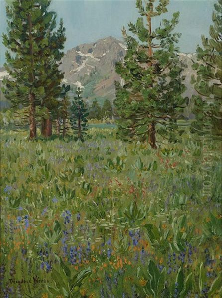 Mt. Tallac, Lake Tahoe, California - view 1