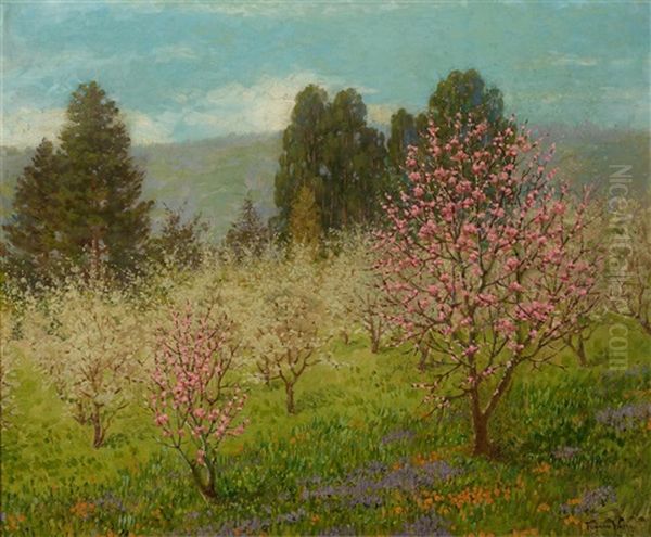 Blossom Time In Saratoga, California - view 1