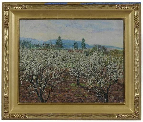 Prune Blossoms - view 1