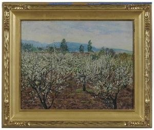 Prune Blossoms