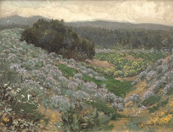 Blue Lupine Of The Sand Dunes S.f. - view 1
