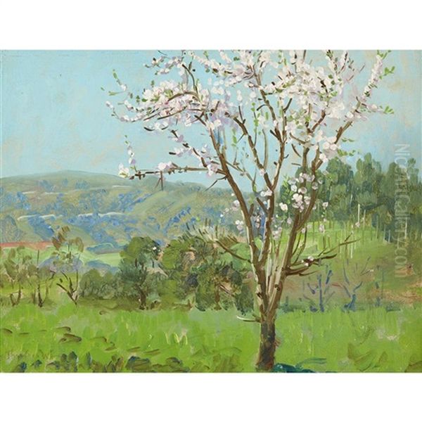 A Harbinger Of Spring, Almond Blossoms - view 1