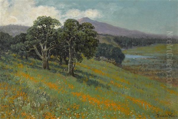 Mt. Tamalpais From Greenbrae - view 1