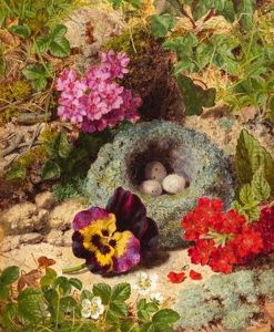 A Bird"s Nest, Pansy And Alpine Primroses On A Mossy Bank