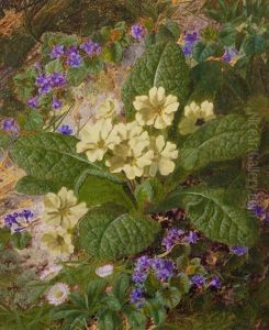 Still Life Of Wild Primroses
