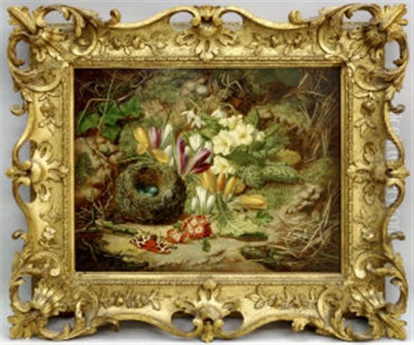 Still Life With Birds Nest, Butterfly And Primroses - view 1