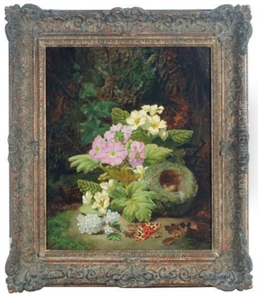 Still Life Of Spring Flowers With A Bird Nest With Eggs And A Moth In A Forest Landscape - view 1