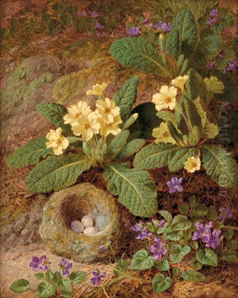 Primula And Violets On A Mossy Bank With Bird's Nest - view 1