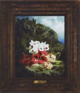 Red And White Geraniums With Waxflower