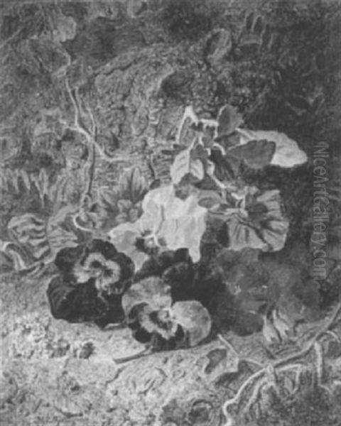 Pansies And Primulas - view 1