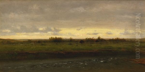 Evening Along The Platte River - view 1
