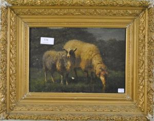Moutons by Edouard Woutermaertens