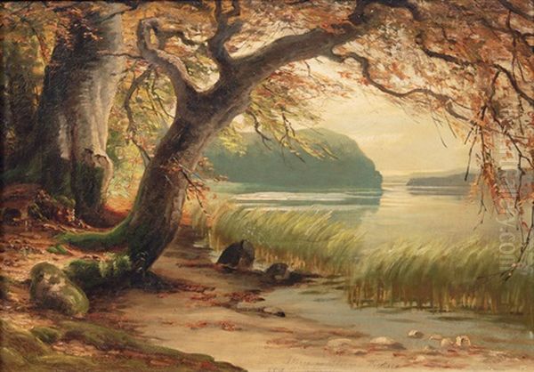 The Dieksee - view 1