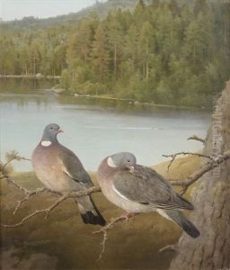 Pigeons by Ferdinand von Wright