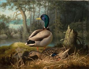 Ducks by Ferdinand von Wright